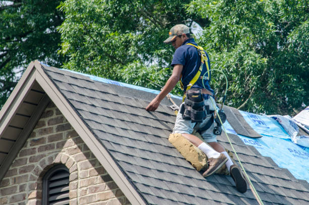 Roof Gutter Cleaning in Merrydale, LA